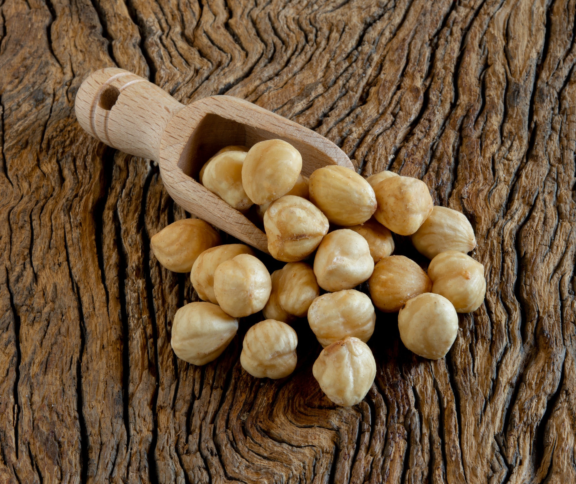 peeled hazelnuts typical of Avellino Italian city