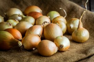 Fresh organic onions